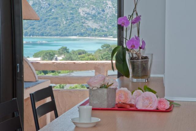 - Domaine Santa Giulia Palace